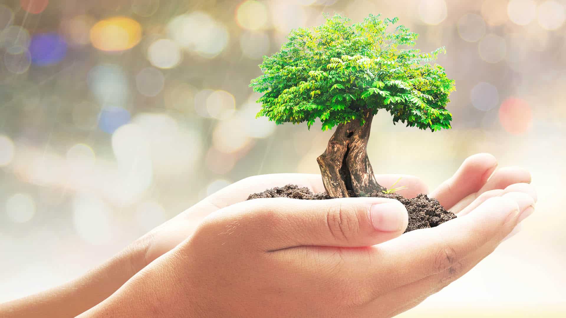 About GreenCo