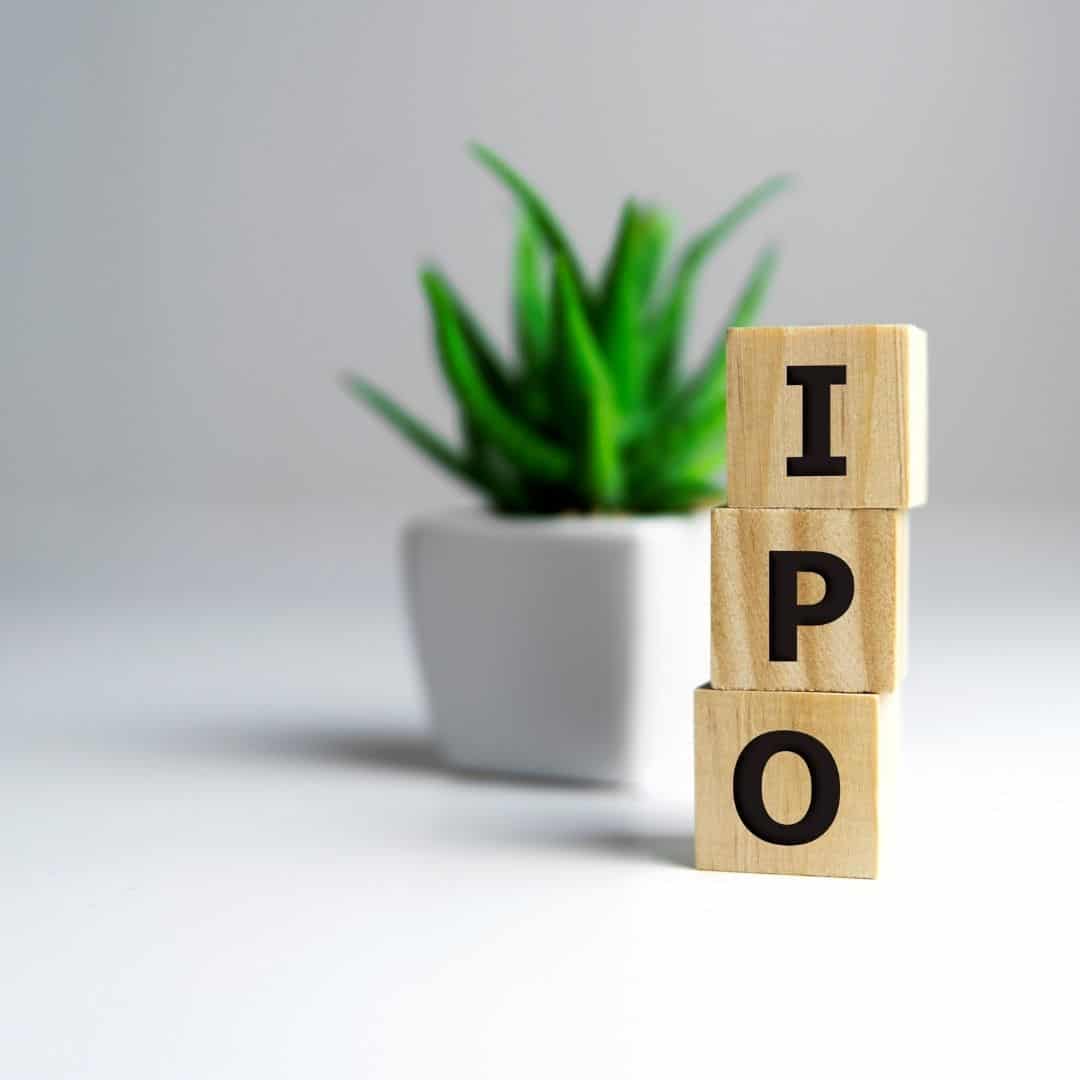 GreenCo Recommended ESG Measures for Companies Going Public (IPO) 6 IPO