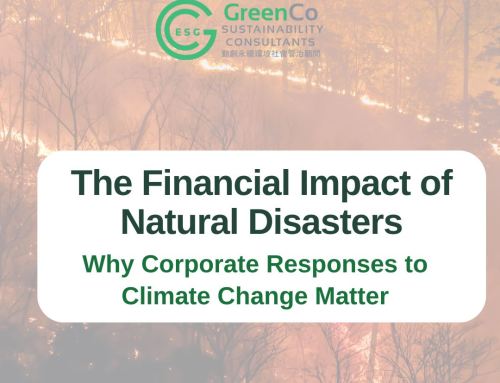 The Financial Impact of Climate Change: Why Corporate Responses Matter